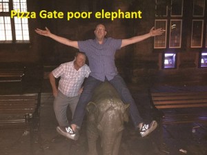 RSPCA after thugs for crippling local elephant